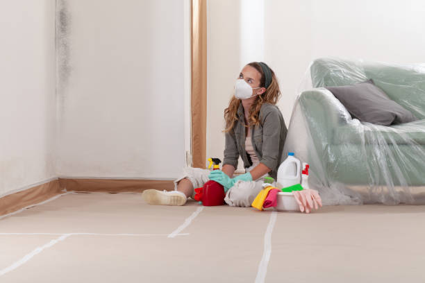 Reliable Mold Remediation contractor in Coats, NC by Cheap Mold Removal